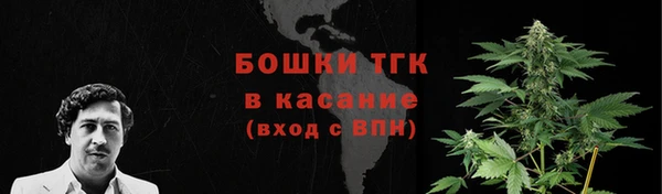 сатива Краснослободск